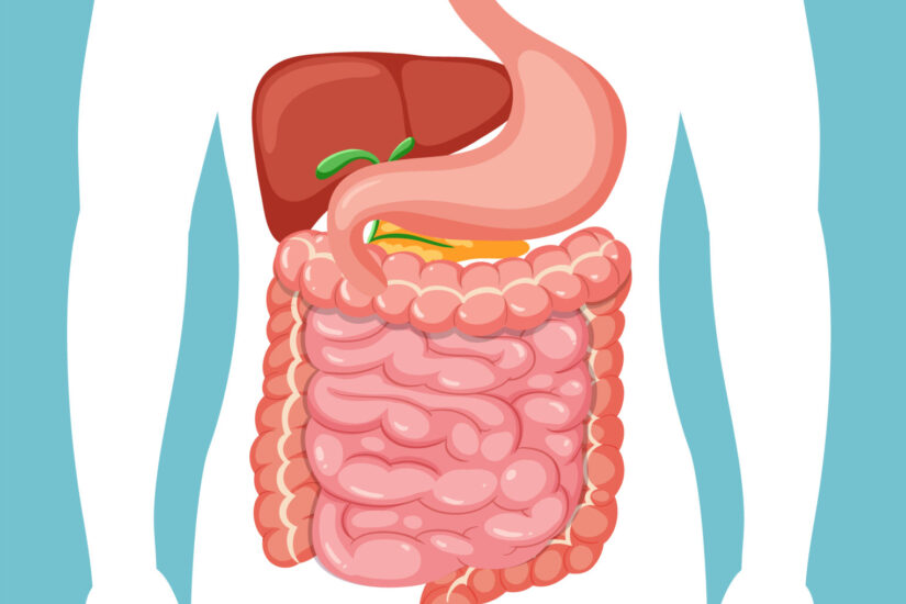 gastroenterologa guayaquil - IECED